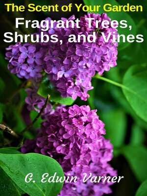 cover image of The Scent of Your Garden